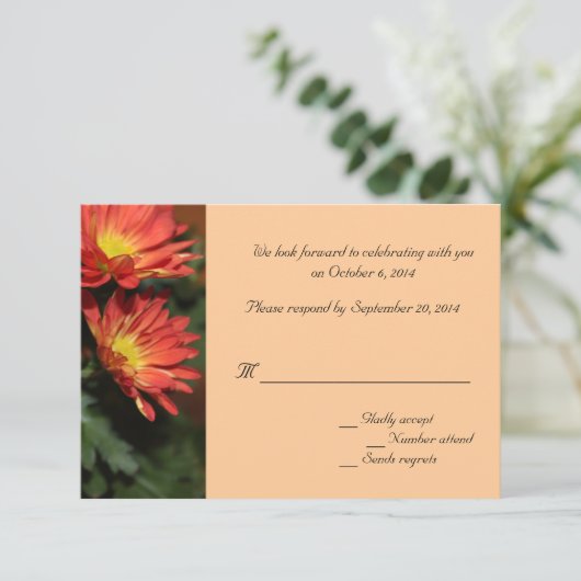 Daisy-bloemen RSVP-trouwkaarten Kaart (Staand voorkant)