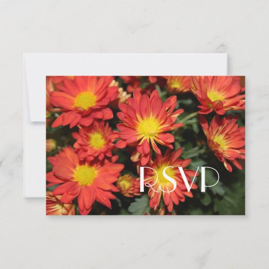 Daisy-bloemen RSVP-trouwkaarten Kaart (Achterkant)