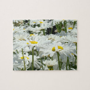 Daisy Bloemen Tuin Puzzel Pret Tijd Puzzels