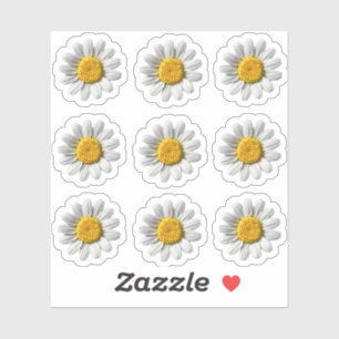 Daisy Bloemen Witte Bloem Blossom Sticker
