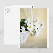 Daisy Blossom Flowers en Wicker Basket Briefkaart (Voorkant / Achterkant)