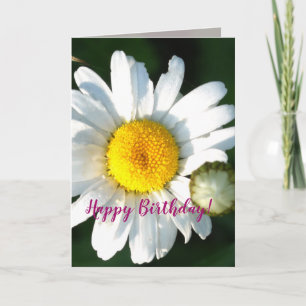 Daisy Blossom Verjaardag Wenskaart Kaart