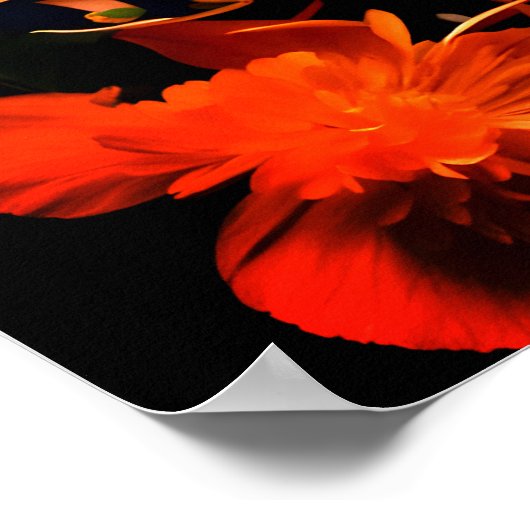 Daisy Boeket op Gouache Schilderkunst Poster (Hoek)