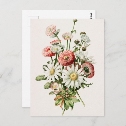 Daisy Bouquet Briefkaart (Voorkant / Achterkant)