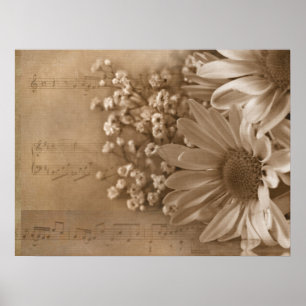 Daisy Bouquet over muziek Poster