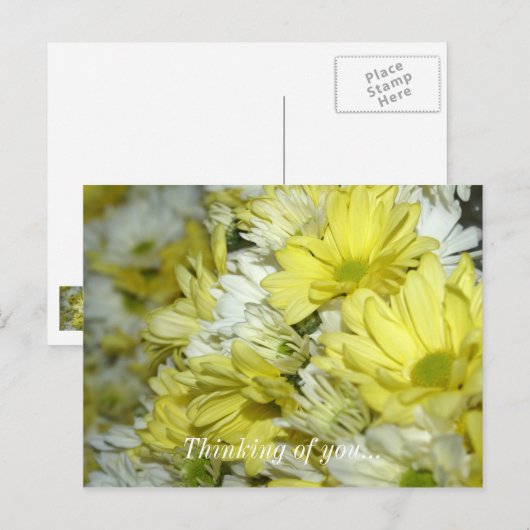 Daisy Bouquets denken aan je Briefkaart (Voorkant / Achterkant)