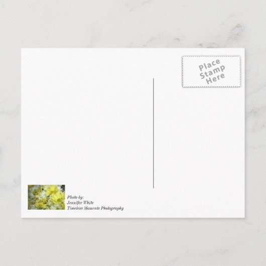 Daisy Bouquets denken aan je Briefkaart (Achterkant)