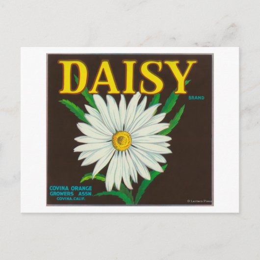 Daisy Brand Citrus Crate Label Briefkaart (Voorkant)