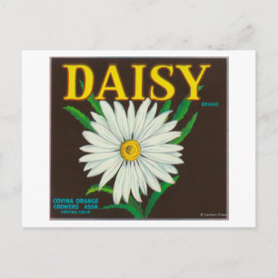 Daisy Brand Citrus Crate Label Briefkaart