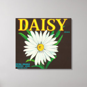 Daisy Brand Citrus Crate Label Canvas Afdruk