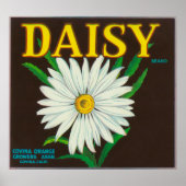 Daisy Brand Citrus Crate Label Poster (Voorkant)