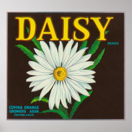 Daisy Brand Citrus Crate Label Poster (Voorkant)