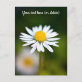 Daisy Briefkaart (Voorkant)