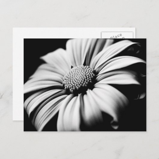 Daisy Briefkaart (Voorkant / Achterkant)