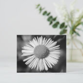 Daisy Briefkaart (Staand voorkant)