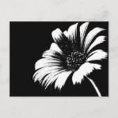 Daisy Briefkaart (Voorkant)