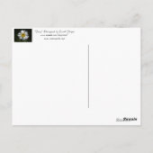 Daisy Briefkaart (Achterkant)