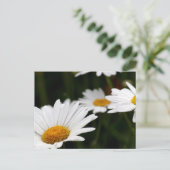 Daisy Briefkaart (Staand voorkant)