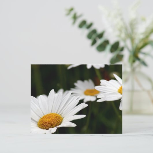 Daisy Briefkaart (Staand voorkant)