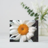 Daisy Briefkaart (Staand voorkant)