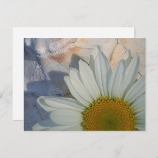 Daisy Briefkaart (Voorkant / Achterkant)