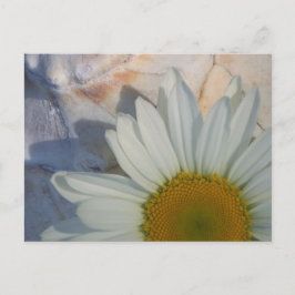 Daisy Briefkaart