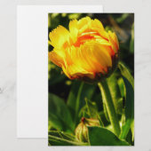 Daisy Briefpapier (Voorkant / Achterkant)