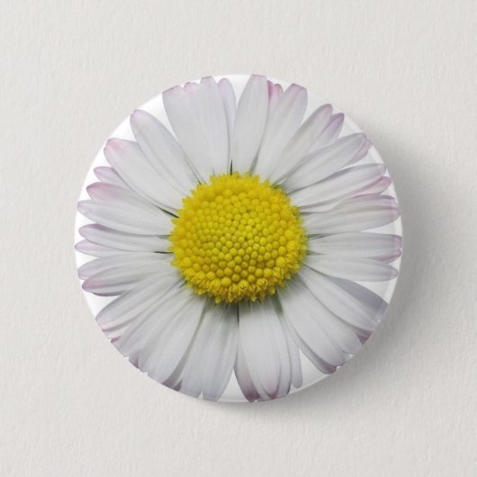 Daisy Button (Voorkant)