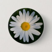 Daisy Button (Voorkant)