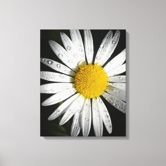 Daisy Canvas Afdruk (Voorkant)