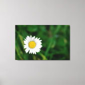Daisy Canvas Afdruk (Voorkant)