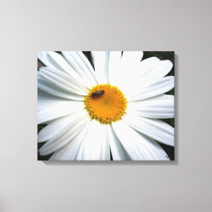 Daisy Canvas Afdruk
