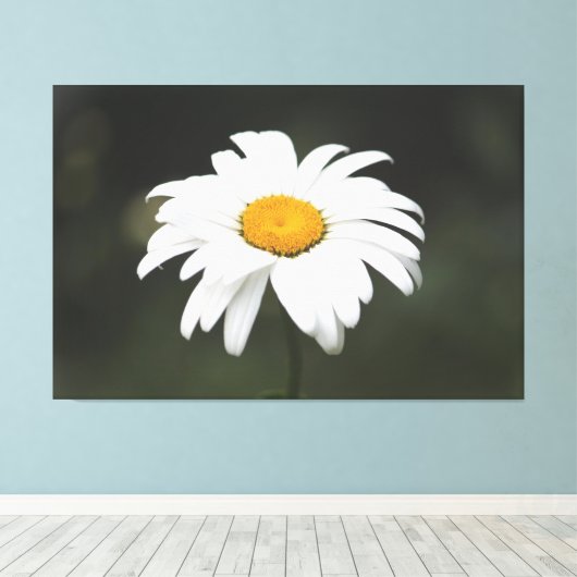 Daisy Canvas Kunst (Insitu (Houten vloer))