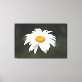 Daisy Canvas Kunst (Voorkant)