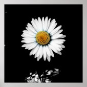 Daisy Canvas Print (Voorkant)