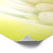 Daisy Canvas Print (Hoek)