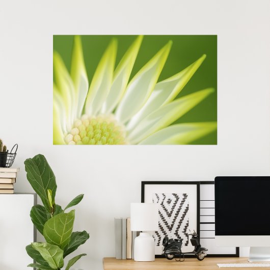 Daisy Canvas Print (Thuiskantoor)
