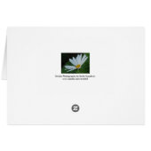 Daisy Card (Achterkant Horizontaal)