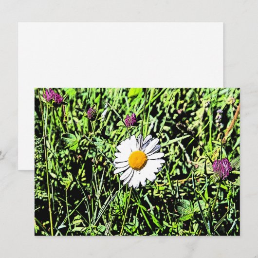 Daisy Card (Voorkant / Achterkant)