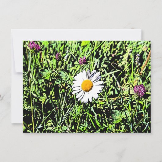 Daisy Card (Voorkant)