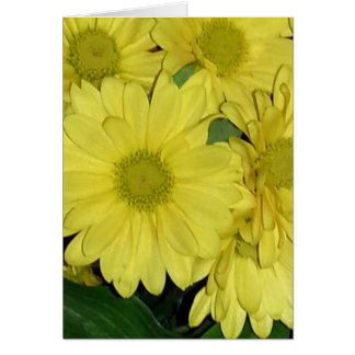 Daisy Card (leeg binnenin)