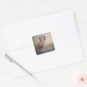 Daisy cavia stickers (Envelop)