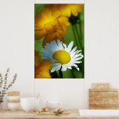 Daisy Chamomile Flower Floral Sunflower Lover Gift Poster (Keuken)