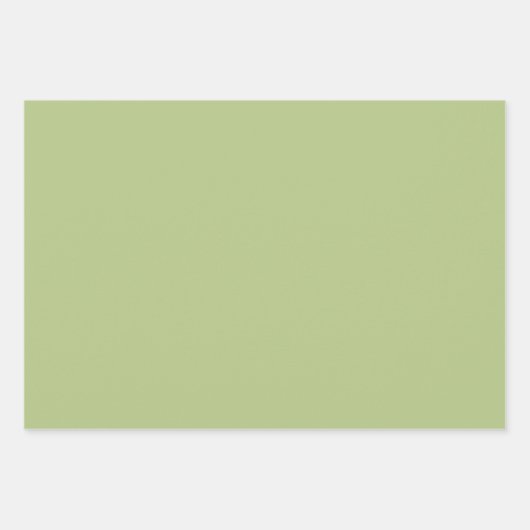 Daisy Check Sage Green Retro Modern Pattern Inpakpapier Vel (Voorkant 2)