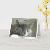 Daisy Chilling Kaart (Gele Bloem)