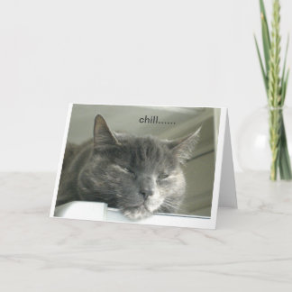 Daisy Chilling Kaart