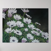 Daisy Chrysanthemum Art Print (Voorkant)