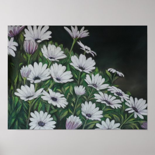 Daisy Chrysanthemum Art Print (Voorkant)