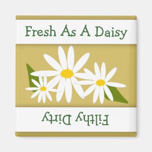 Daisy Clean Dirty Indicator Afwasmachine Magnet