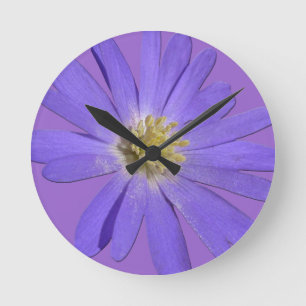 Daisy Clock Paarse Daisies Blue Flower Wall klok